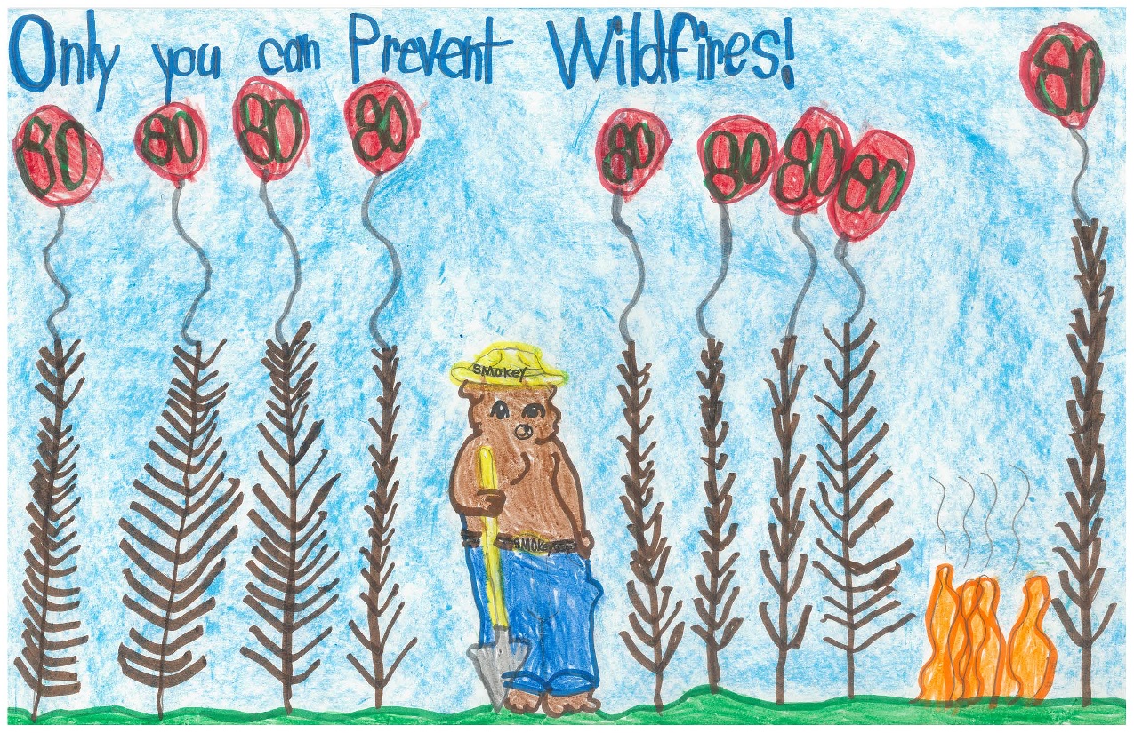 2024 Smokey Bear & Woodsy Owl Poster Contest National Garden Clubs, Inc.